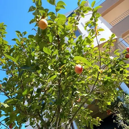 Hébergement de vacances Villa Split *